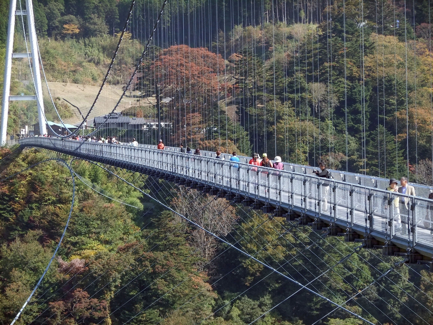 Beppu & Oita Japan Private Shore Excursion: Japan’s Highest Suspension Bridge & The "Hells" of Beppu