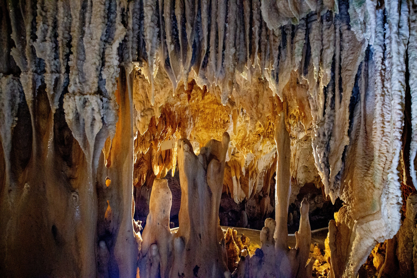 Ishigaki Private Shore Excursion: Tropical Landscapes & Scenic Highlights