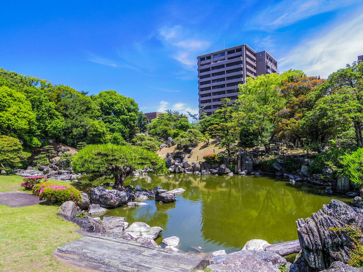 Tokushima Private Shore Excursion: Culture, History & Scenic Views