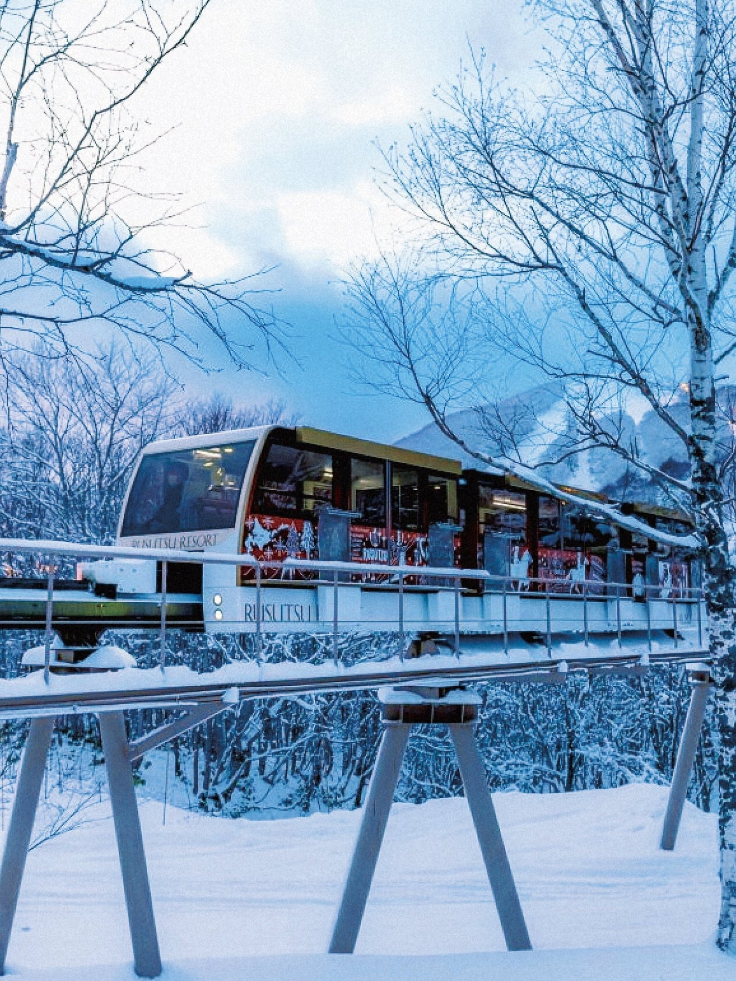 Rusutsu to New Chitose Airport (CTS)
