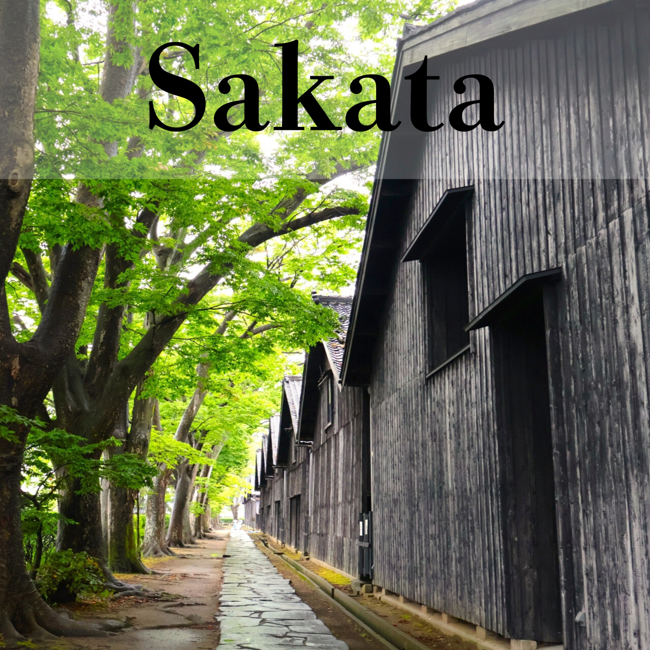 Sakata Private Shore Excursion: Historic Warehouses, Merchant Culture & Local Market