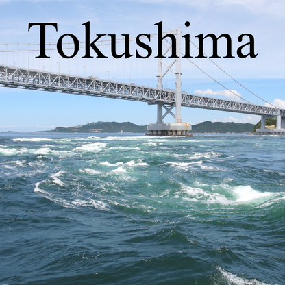Tokushima Private Shore Excursion: Culture, History & Scenic Views