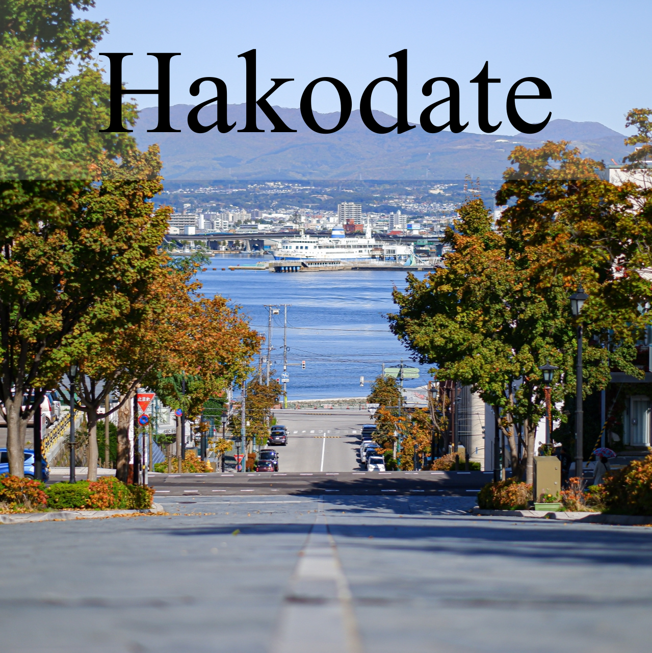 Hakodate Private Shore Excursion: Historic Streets, Scenic Views & Local Flavors