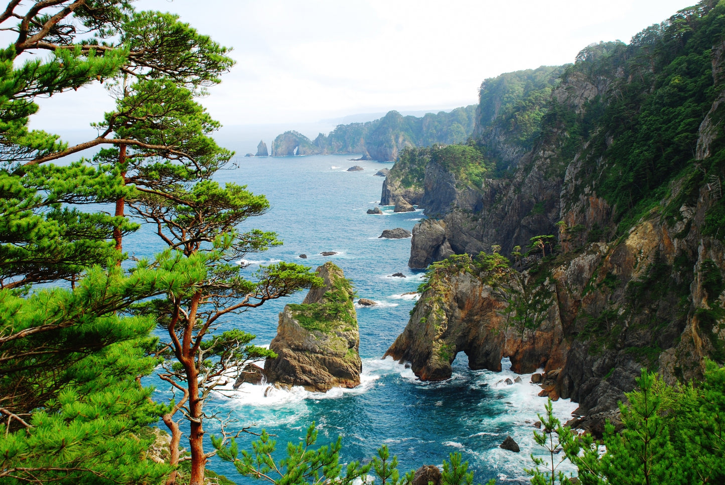 Miyako Iwate Japan Private Shore Excursion: Pristine Coastlines, Caves & Sacred Sites