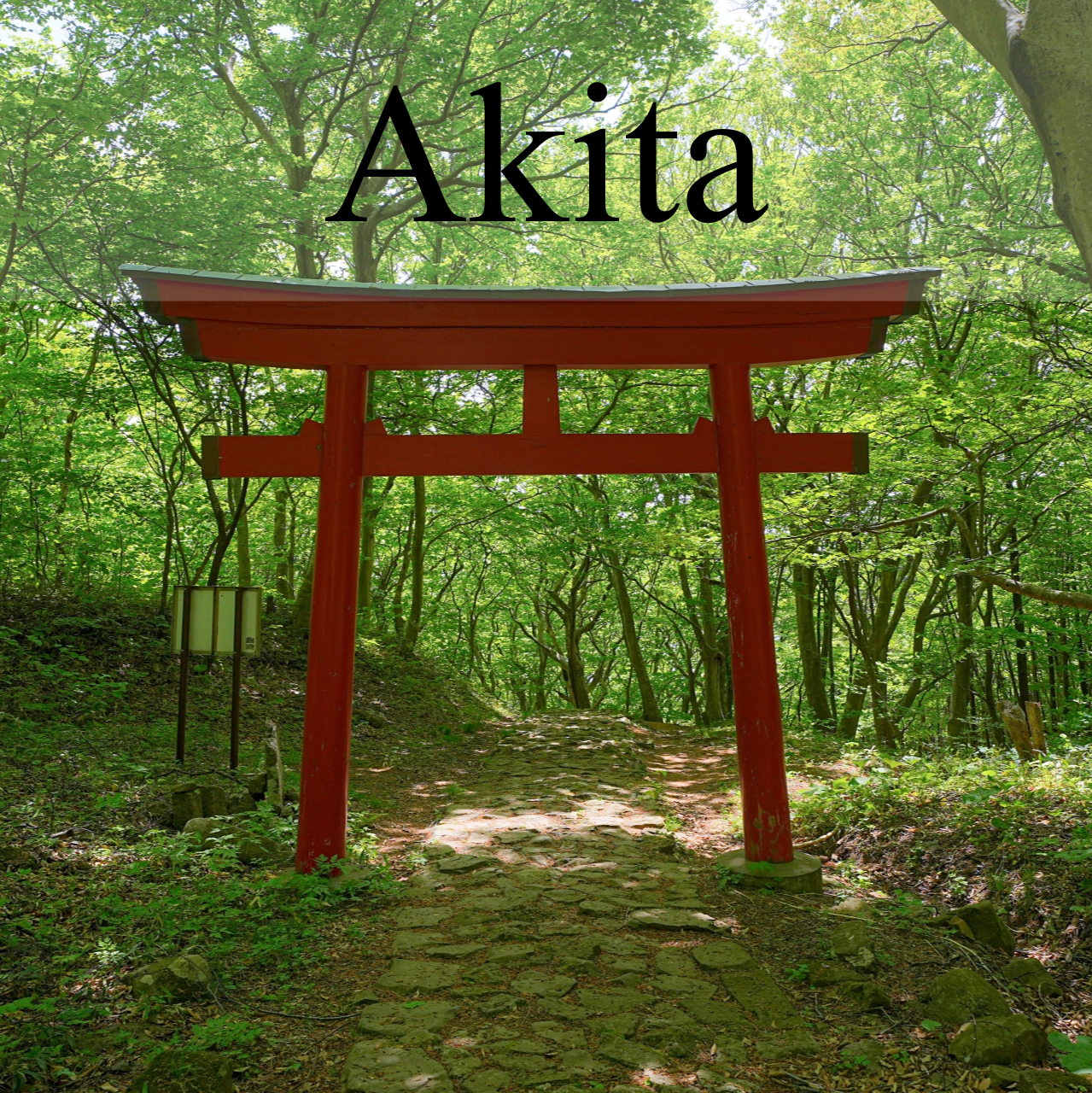 Akita Custom Private Shore Excursion: Traditional Festivals, Ancient Ruins & Coastal Vistas