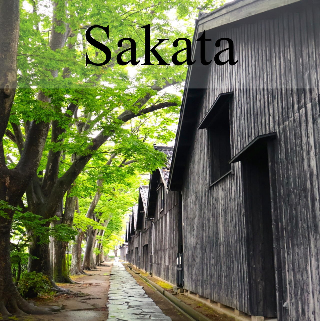 Sakata Private Shore Excursion: Historic Warehouses, Merchant Culture & Local Market
