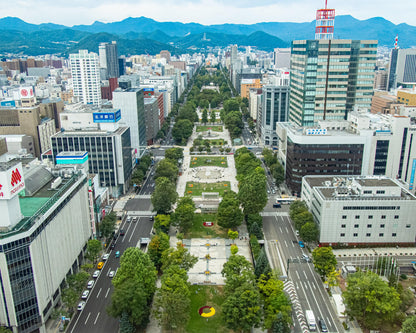 【여름 시즌 한정】루스츠 리조트 출발｜삿포로 시내 프라이빗 관광 투어 (주간·야간)
