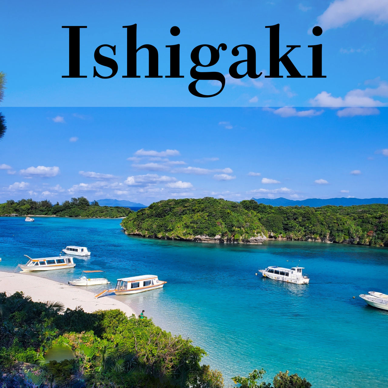 Ishigaki Private Shore Excursion: Tropical Landscapes & Scenic Highlights