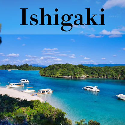 Ishigaki Private Shore Excursion: Tropical Landscapes & Scenic Highlights