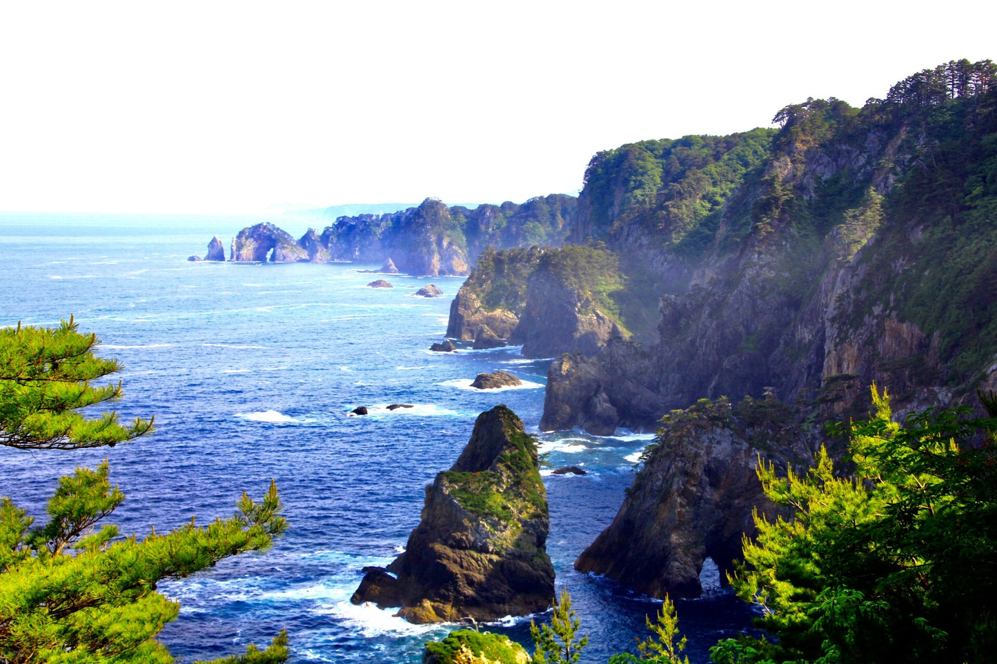 Miyako Iwate Japan Private Shore Excursion: Pristine Coastlines, Caves & Sacred Sites