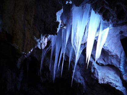 Miyako Iwate Japan Private Shore Excursion: Pristine Coastlines, Caves & Sacred Sites