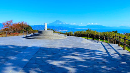 Nihondaira Panoramic Fuji & Kunozan Shrine Private Shore Excursion from Shimizu Port