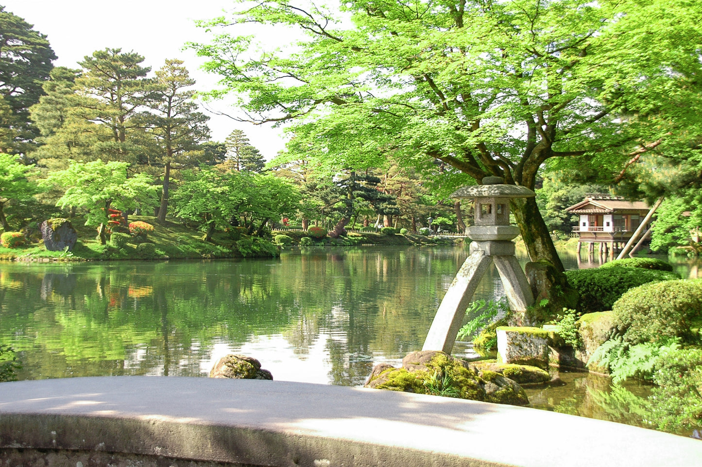 The Green Tea Plantations & Longest Wooden Bridge Private Shore Excursion from Shimizu Port