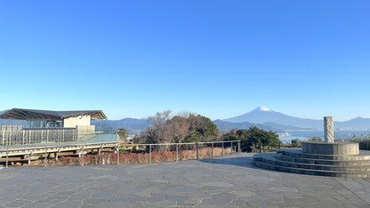 Nihondaira Panoramic Fuji & Kunozan Shrine Private Shore Excursion from Shimizu Port