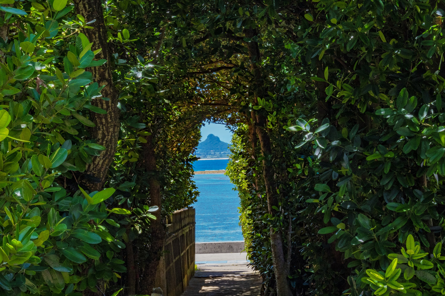 Motobu Private Shore Excursion: Scenic Coastlines, Cultural Heritage & Island Highlights