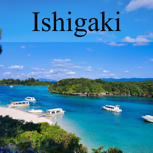 Ishigaki Private Shore Excursion: Tropical Landscapes & Scenic Highlights