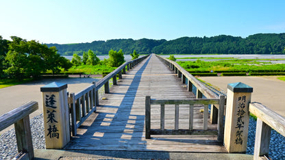 The Green Tea Plantations & Longest Wooden Bridge Private Shore Excursion from Shimizu Port