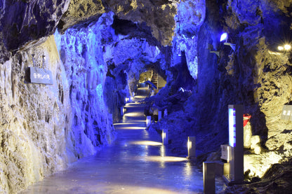 Miyako Iwate Japan Private Shore Excursion: Pristine Coastlines, Caves & Sacred Sites