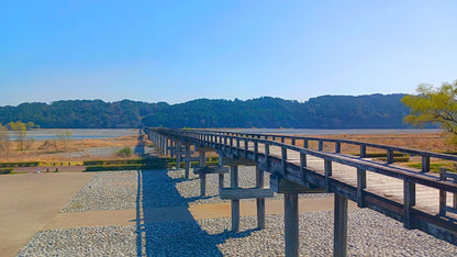 The Green Tea Plantations & Longest Wooden Bridge Private Shore Excursion from Shimizu Port