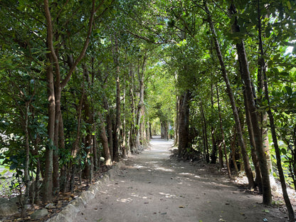 Motobu Private Shore Excursion: Scenic Coastlines, Cultural Heritage & Island Highlights