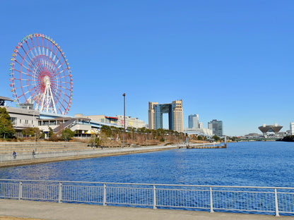 Tokyo Cutting-Edge Art & Odaiba Waterfront Private Shore Excursion with English-Speaking Driver from Yokohama Port
