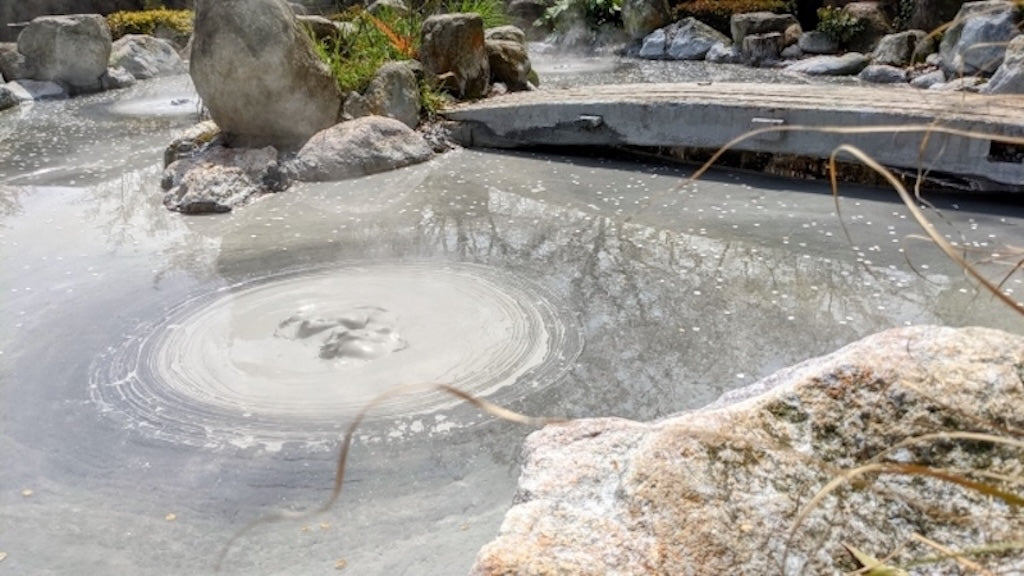 Beppu Oita Private Shore Excursion: Nature, Hot Springs & Scenic Views