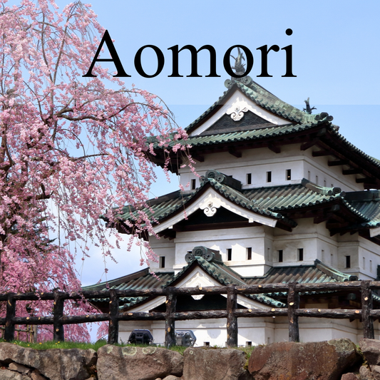 Aomori Private Shore Excursion: Hirosaki Castle & Apple Hill Day Tour