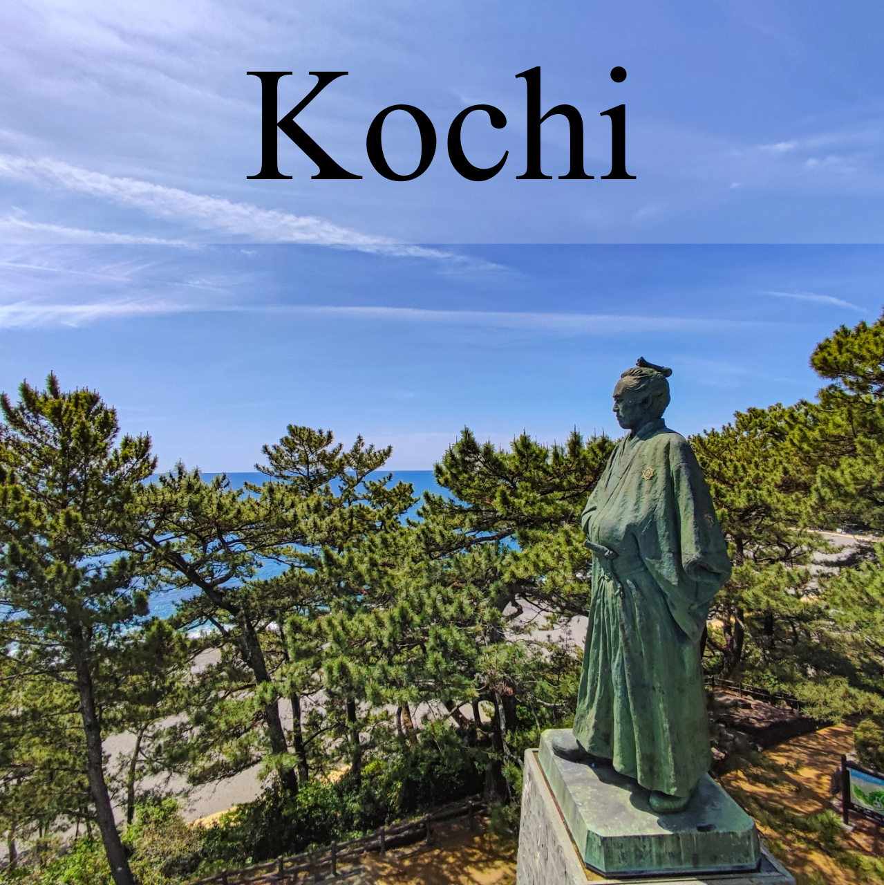 Kochi Private Shore Excursion: Coastal Scenery, Historic Castle & Local Market