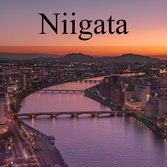 Niigata Private Shore Excursion:Historic Landmarks, Sake Brewery & Local Market