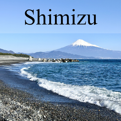 Shimizu Private Shore Excursion: Mt. Fuji Views, Sacred Sites & Coastal Scenery