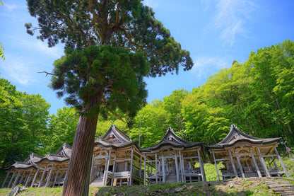 Akita Custom Private Shore Excursion: Traditional Festivals, Ancient Ruins & Coastal Vistas