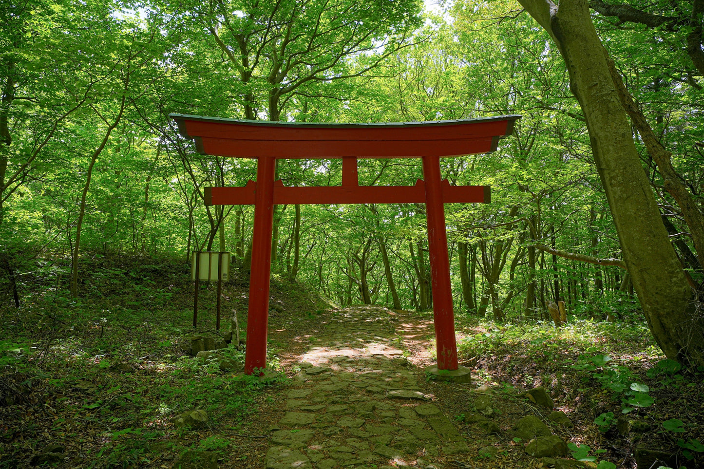 Akita Custom Private Shore Excursion: Traditional Festivals, Ancient Ruins & Coastal Vistas