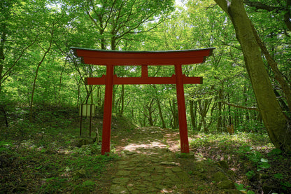 Akita Custom Private Shore Excursion: Traditional Festivals, Ancient Ruins & Coastal Vistas