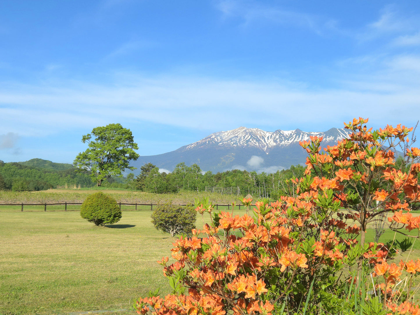 Fukuoka Tour: Sacred Island of Munakata and Heritage Sites!