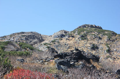 Fukuoka Tour: Sacred Island of Munakata and Heritage Sites!