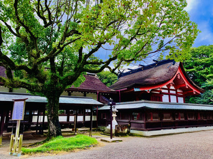 Fukuoka Tour: Sacred Island of Munakata and Heritage Sites!
