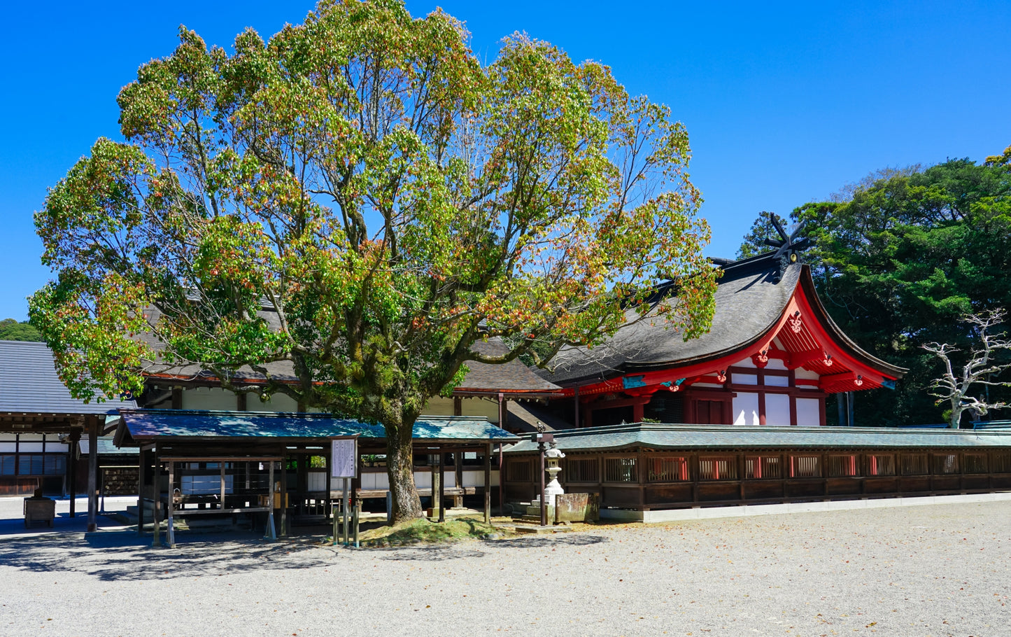 Fukuoka Tour: Sacred Island of Munakata and Heritage Sites!