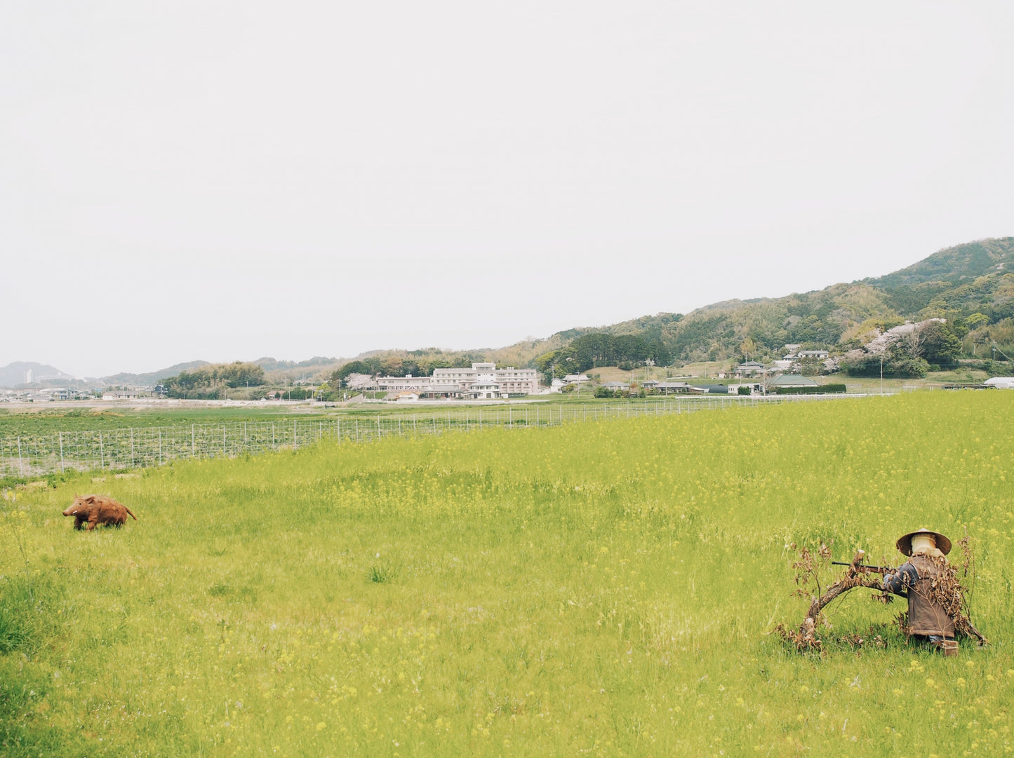 Fukuoka Tour: Sacred Island of Munakata and Heritage Sites!