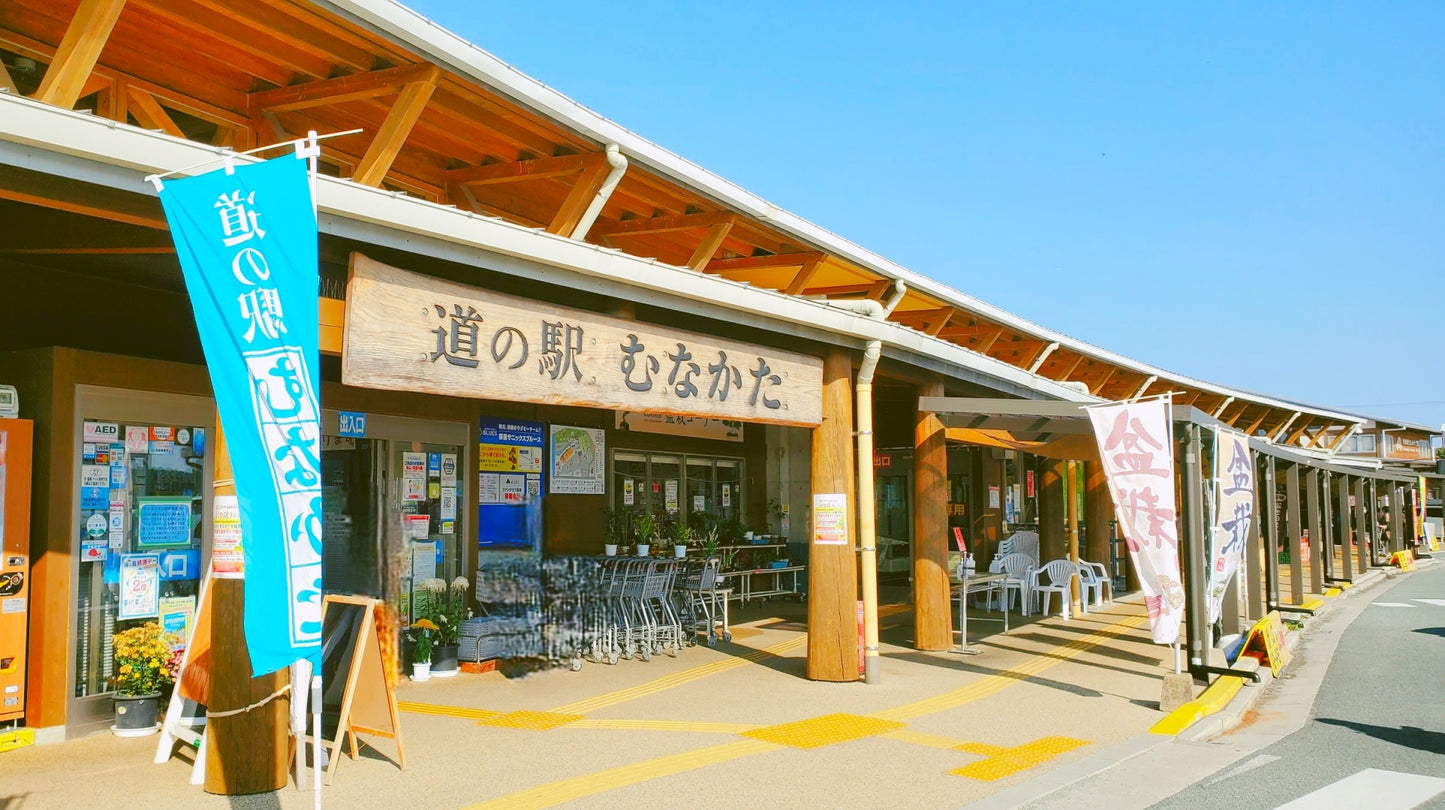Fukuoka Tour: Sacred Island of Munakata and Heritage Sites!