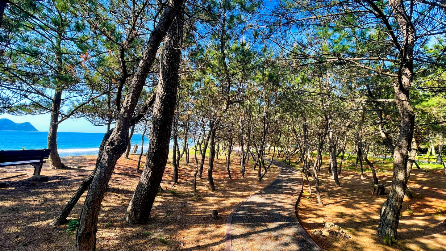 Fukuoka Tour: Sacred Island of Munakata and Heritage Sites!