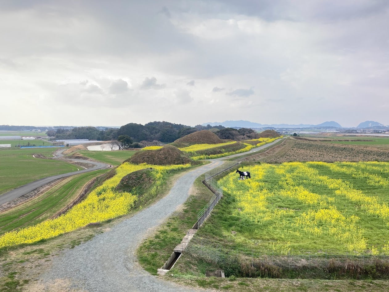 Fukuoka Tour: Sacred Island of Munakata and Heritage Sites!