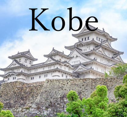 Himeji Highlights & Kobe Charm: A 6-Hour Taxi Tour