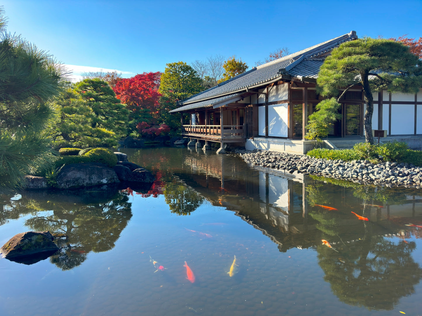 Himeji Highlights & Kobe Charm: A 6-Hour Taxi Tour