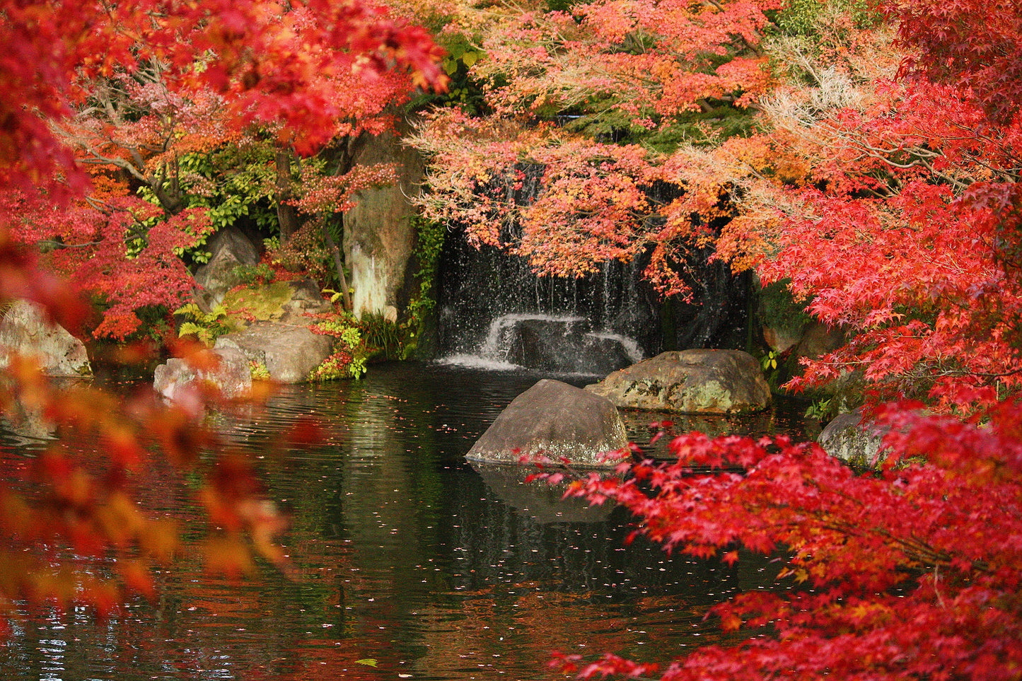 Himeji Highlights & Kobe Charm: A 6-Hour Taxi Tour