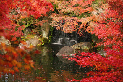 Himeji Highlights & Kobe Charm: A 6-Hour Taxi Tour