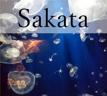 Floating Jellyfish & Samurai Resilience Private Shore Excursion from Sakata Port [7-hour]