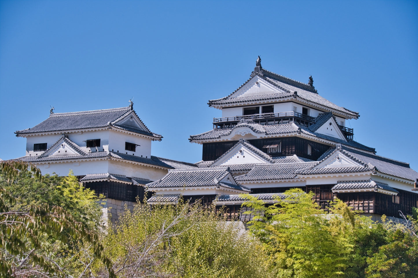 Matsuyama Private Shore Excursion: Castle & Temple Highlights
