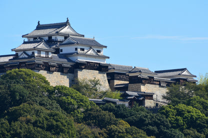 Matsuyama Private Shore Excursion: Castle & Temple Highlights