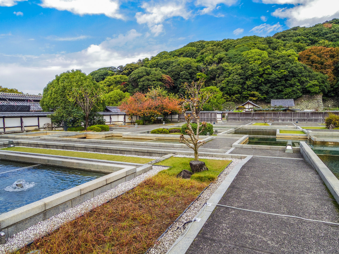 Matsuyama Private Shore Excursion: Castle & Temple Highlights