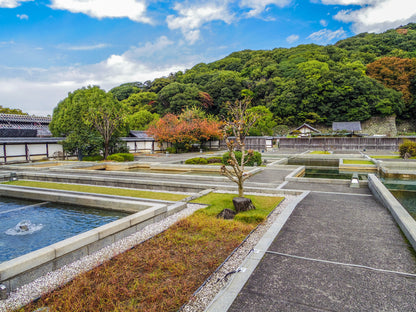 Matsuyama Private Shore Excursion: Castle & Temple Highlights